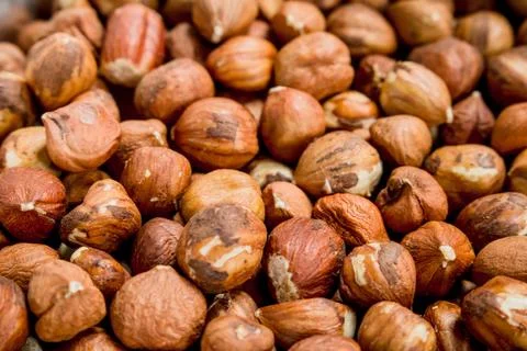 The texture of the shelled hazelnuts. Stock Photos