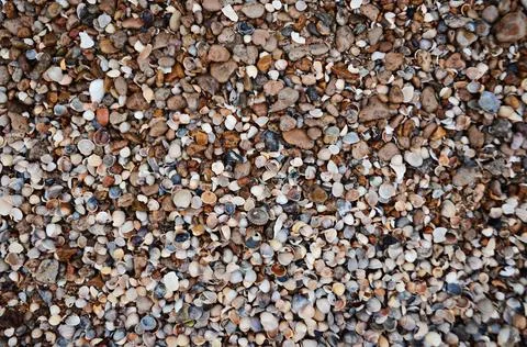 Texture, shells, stones, background, brown Stock Photos