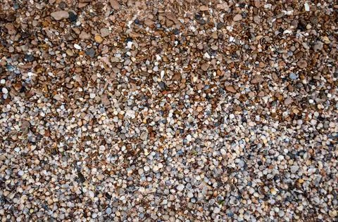 Texture, shells, stones, background, brown Stock Photos