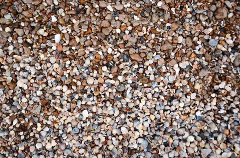 Texture, shells, stones, background, brown Stock Photos