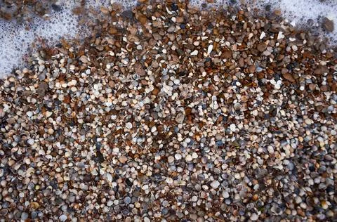 Texture, shells, stones, background, foam, wave Stock Photos