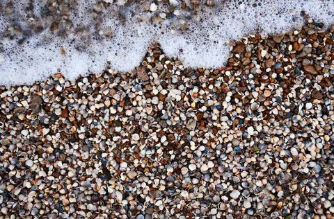 Texture, shells, stones, background, foam, wave Foto stock