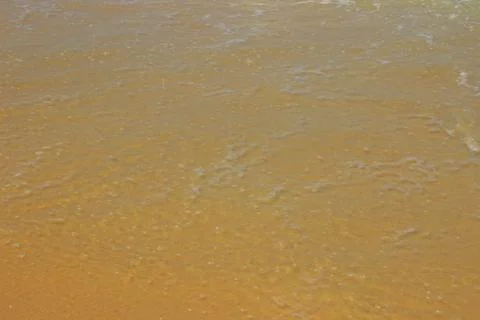 The texture of the shore after a surf Stock Photos