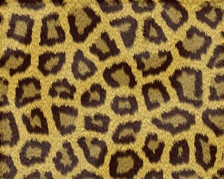 Texture of a short sand color leopard fur Illustrazione stock