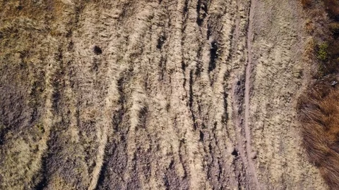 Texture shot of dry ground with brown and yellow grass, CRANE Rotation footage Stock Footage 89826742