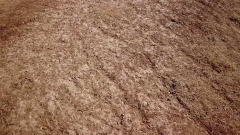 Texture shot of dry ground with brown and yellow grass, Aerial shot Stock Footage 89840929