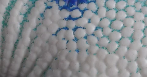 The texture of the silicone toy is close-up. Macro fragment under the skin of a Stock Footage 165648797