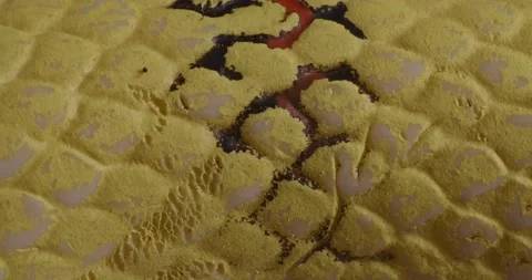 The texture of the silicone toy is close-up. Macro fragment under the skin of a Stock Footage 166083172