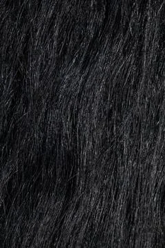 The texture of the skin and wool of a pig, horse, cow, sheep. Foto stock