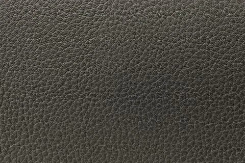 The texture of the skin is gray Stock Photos