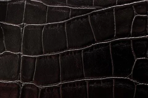 The texture of the skin is gray Stock Photos