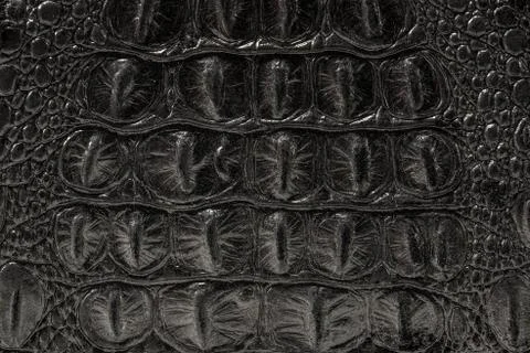 The texture of the skin is gray Stock Photos