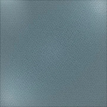 Texture of the skin Stock Illustration