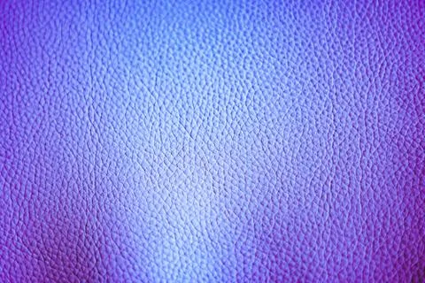 The texture of the skin Stock Photos