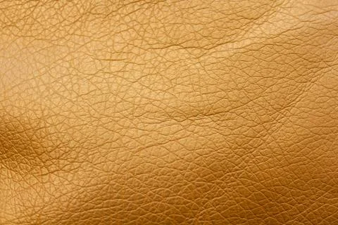 The texture of the skin Foto stock
