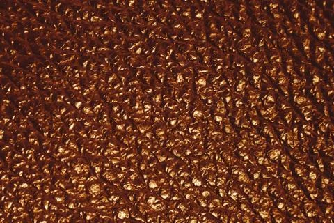 The texture of the skin 库存照片