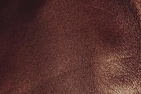 The texture of the skin Stock Photos