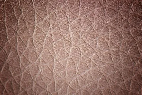 The texture of the skin Stock Photos