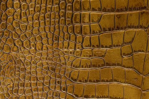 Texture of the skin yellow Stock Photos
