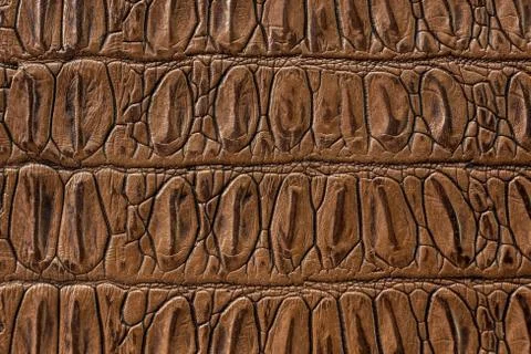 Texture of the skin yellow Stock Photos