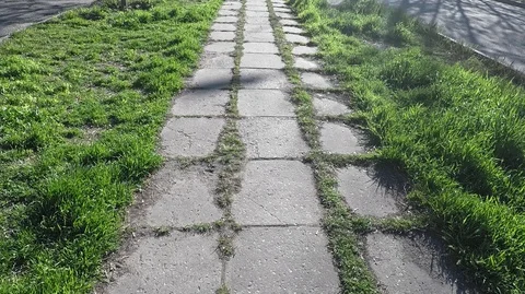 Texture of the slab on the footpath with thick grass Stock Footage 128298363