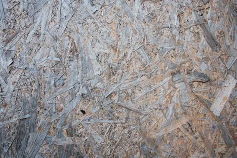 The texture of the slab of wood. Background, tree ecology. Natural natural dr Foto stock