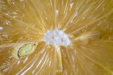 The texture of a sliced ??lemon Stock Photos