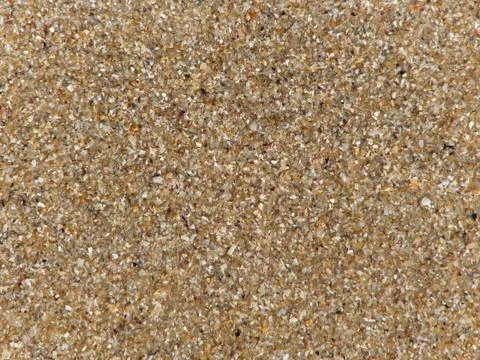 Texture of small colorful seashells Stock Photos
