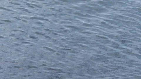 Texture of small ocean waves seen from close up as maritime water background Stock Footage 143523779