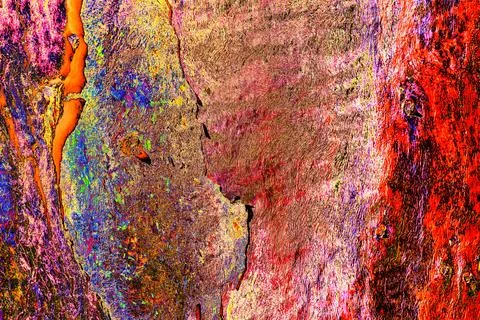 The texture of the smooth bark of a tree, Changed colors, bright colorful bac Stock Photos