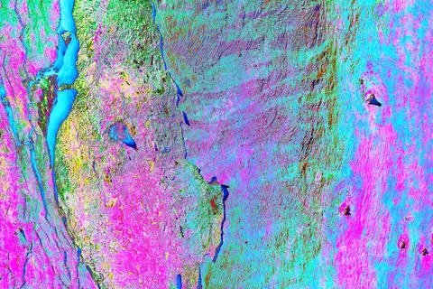 The texture of the smooth bark of a tree, Changed colors, bright colorful bac Stock Photos