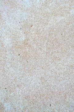 Texture of smooth stone with traces of shells of very small mollusks Stock-Fotos