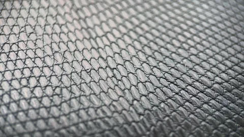 Texture Snake Skin Background, Slider Shot Stock Footage 313125213