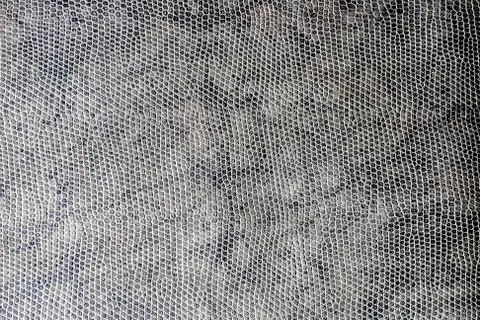 Texture of snake skin Foto stock