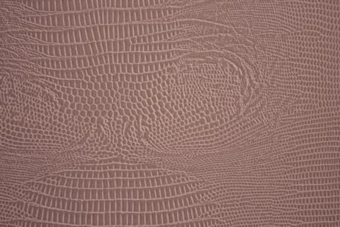 Texture of snake skin. 스톡 사진