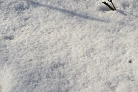 The texture of the snow close up. WInter background Stock Photos