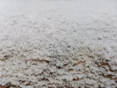 Texture of snow-covered tree full-frame horizontal image Stock Photos