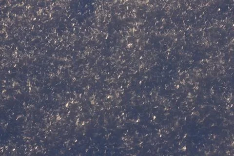 Texture of snow glitters in sun pattern. Christmas, new year, morning before Stock Photos