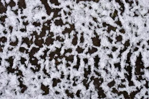 Texture of the snow lying on the dirt Stock Photos