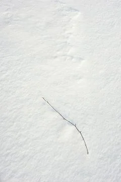 Texture of the snow Stock Photos