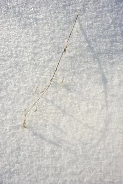 Texture of the snow Stock Photos