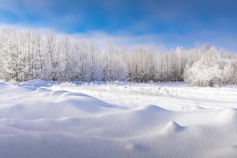 Texture of snow waves in bright foreground sunlight. In the center there are  Stock Photos