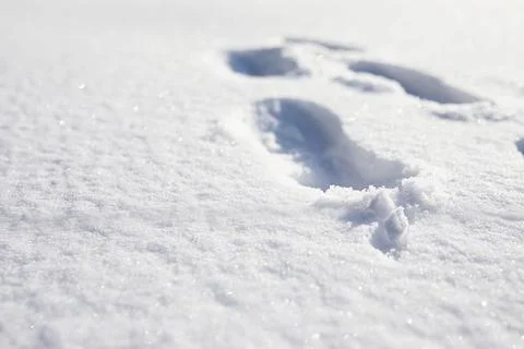 The texture of the snow. Winter rainfall. Tracks on a snowy road after a sn.. Stock Photos