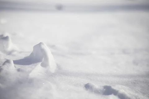 The texture of the snow. Winter rainfall. Tracks on a snowy road after a sn.. Stock Photos