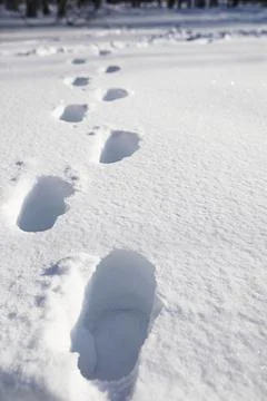 The texture of the snow. Winter rainfall. Tracks on a snowy road after a sn.. Stock Photos