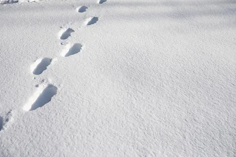 The texture of the snow. Winter rainfall. Tracks on a snowy road after a sn.. Stock Photos