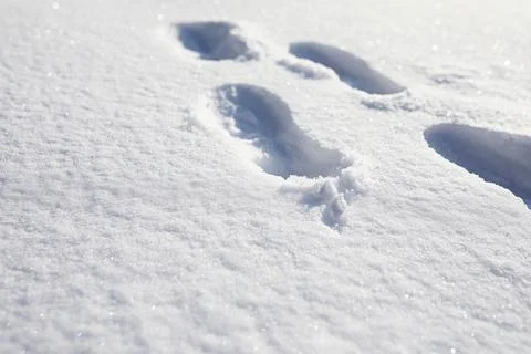 The texture of the snow. Winter rainfall. Tracks on a snowy road after a sn.. Stock Photos