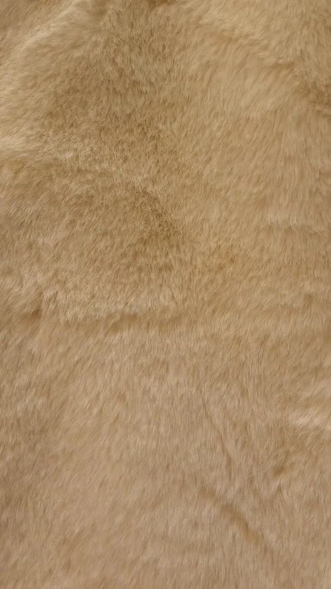 The texture of soft fluffy fur is beige. Fur coats, coats, carpets made of Stock Footage 326123264