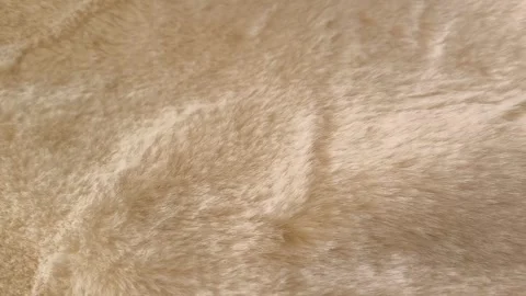 The texture of soft fluffy fur is beige. Fur coats, coats, carpets made of Stock Footage 326123329