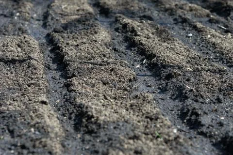 The texture of the soil close up ready for planting. Stock Photos